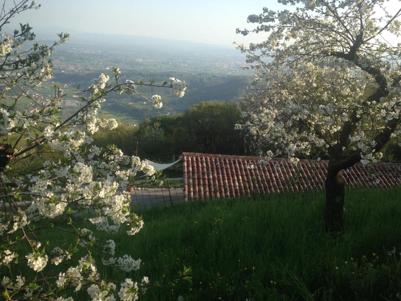 Calvenere Villa Luaran gambar